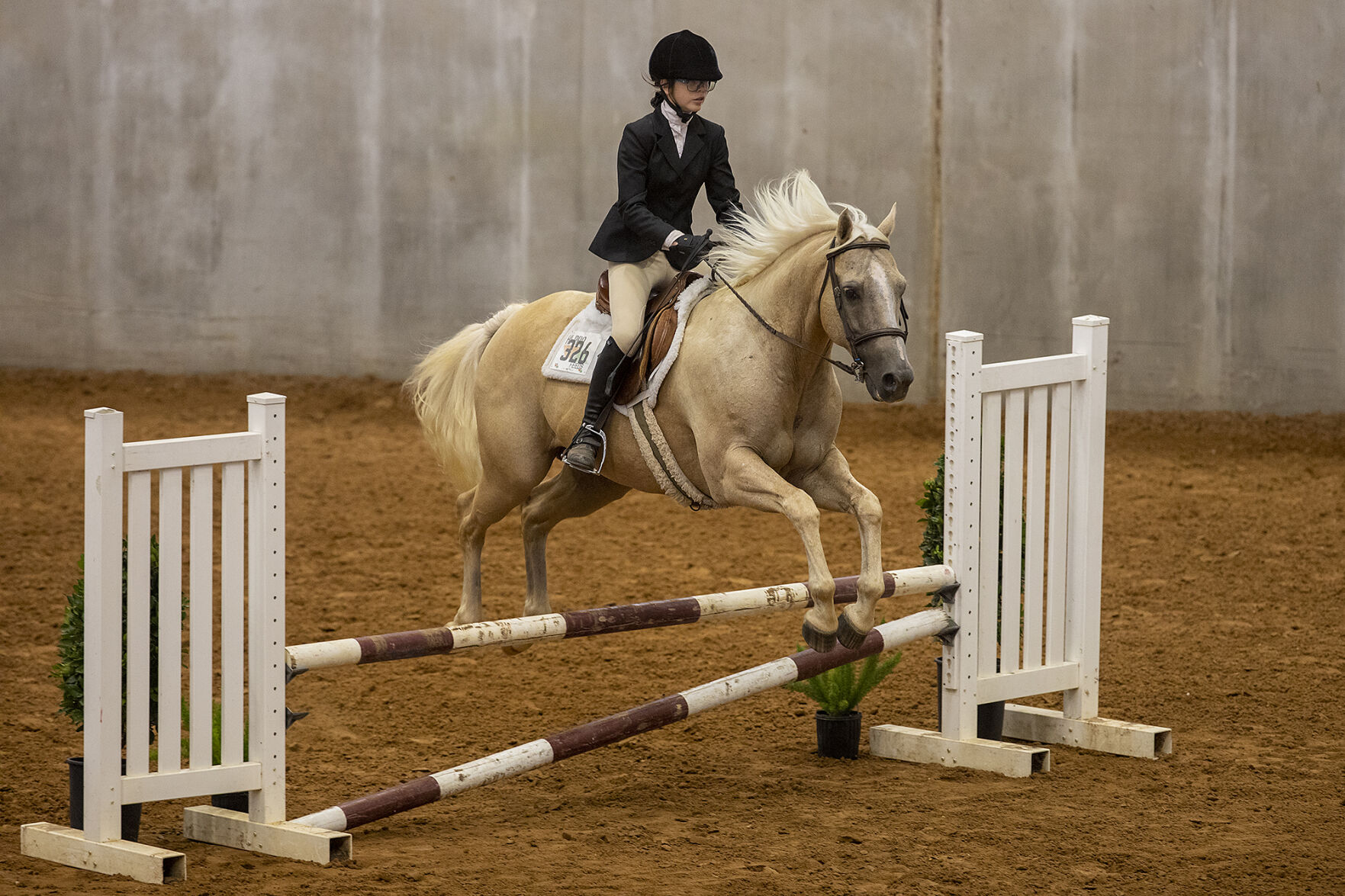4-H horse show